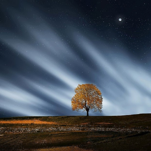 日语五十路和六十路的区别
