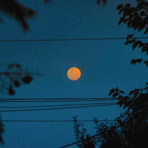 日语五十路和六十路的区别
